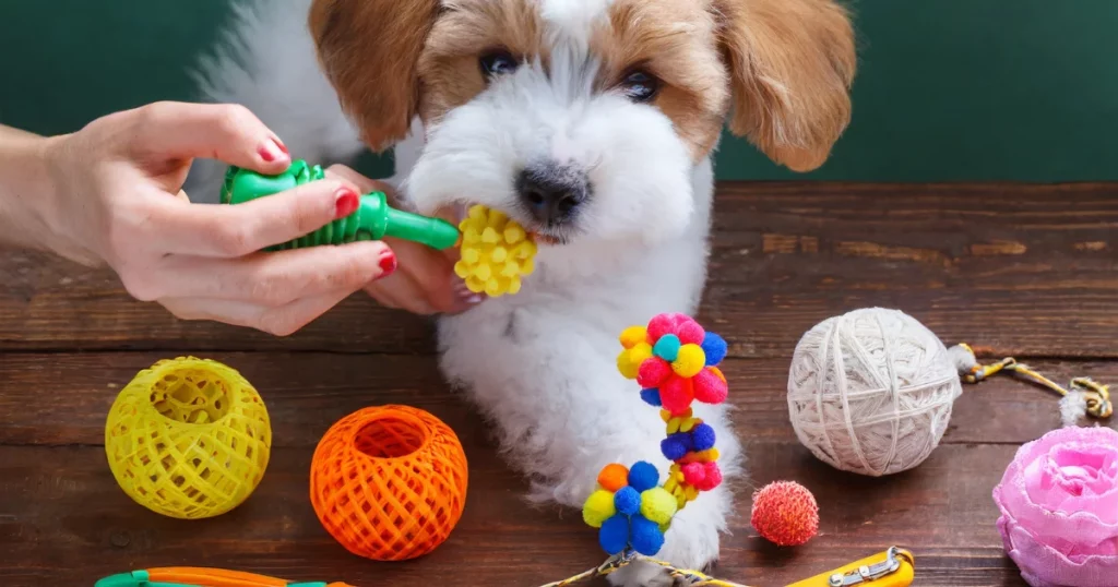 DIY Dog Toys